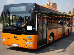 Bus transport in the municipality