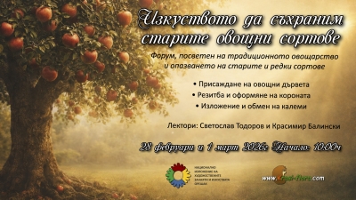 НИХЗИ - Орешак