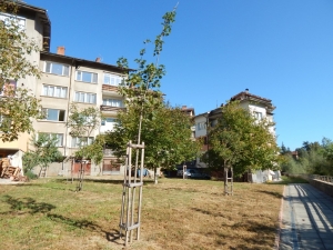 Явор 4, квартал 46, до хотел Троян Плаза