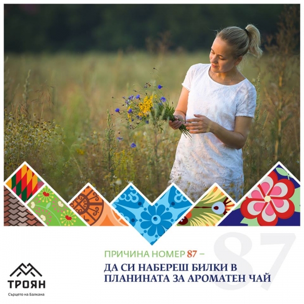 №87 - Да си набереш билки в планината за ароматен чай