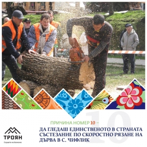 №10 - Да гледаш единственото в страната състезание по скоростно рязане на дърва в с. Чифлик
